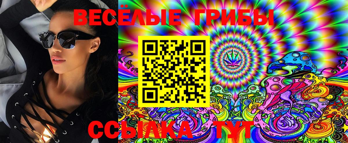 Муром  Псилоцибиновые грибы MAGIC MUSHROOMS  Вход с VPN 